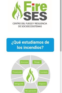 Imagen1